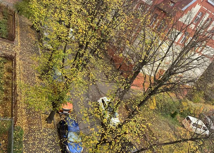 Przy Filharmonii Apartament